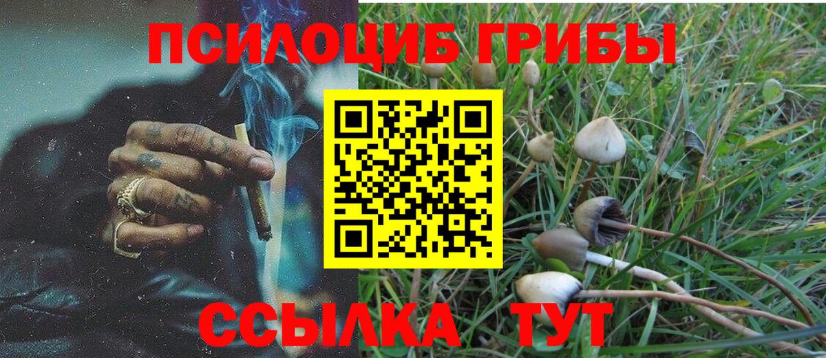 Галлюциногенные грибы Cubensis Зерноград